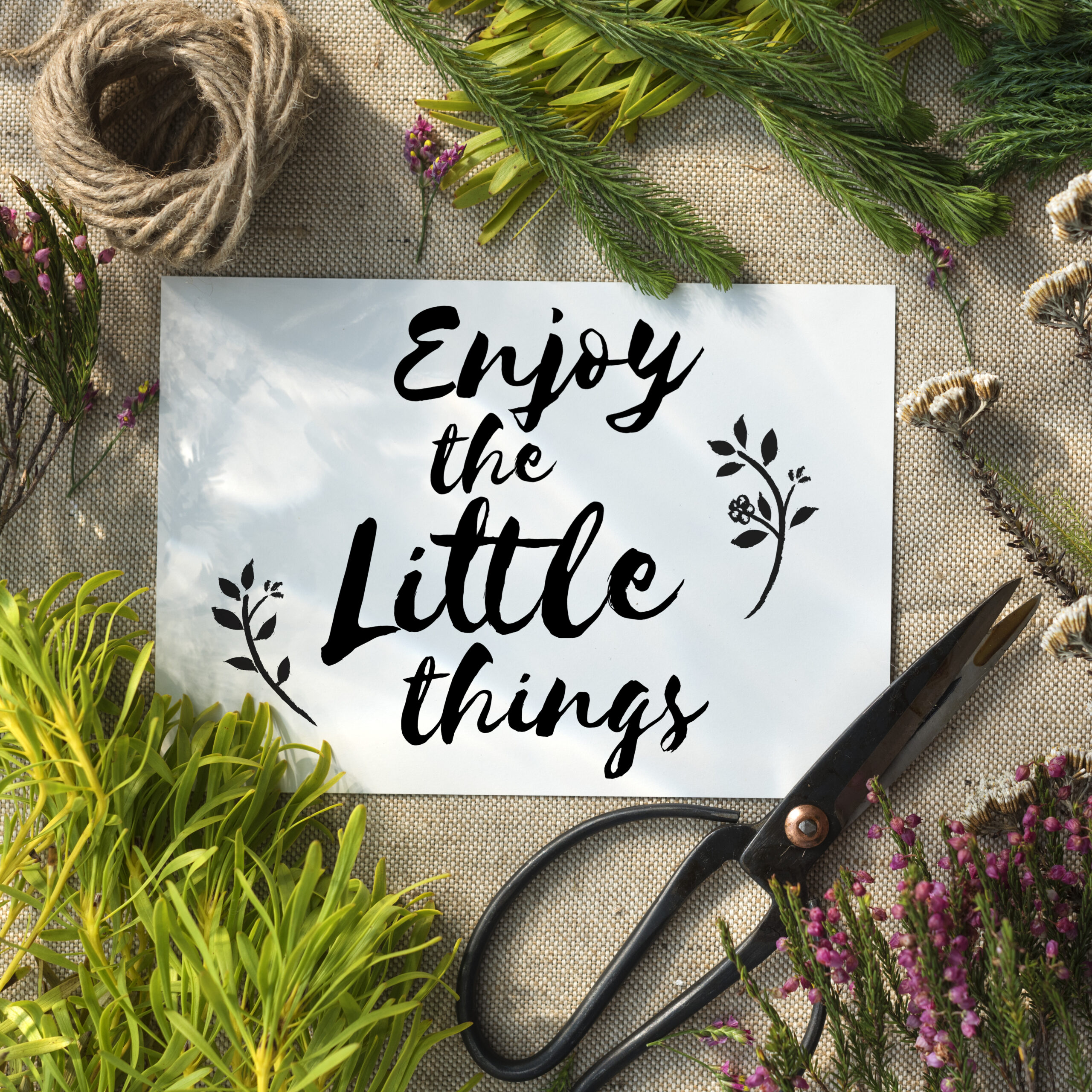 呵护精神窗口，引导身心健康