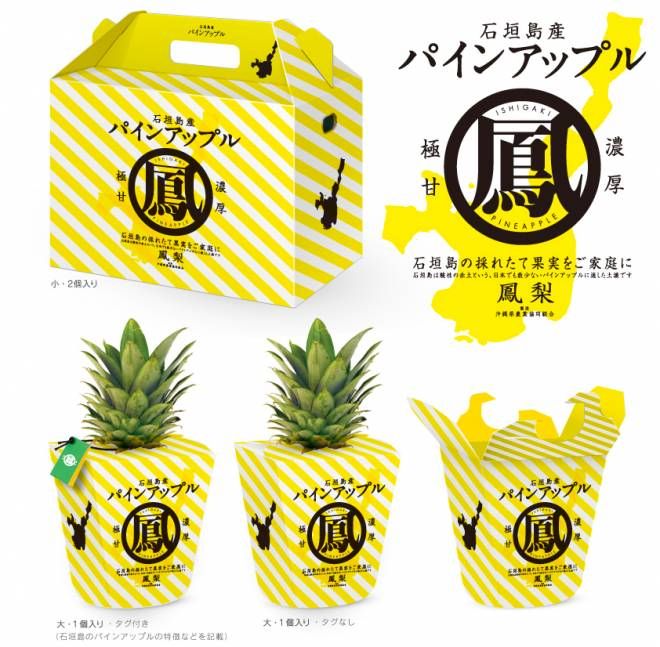 8380bf25a35db428c95d9fc66809aa35