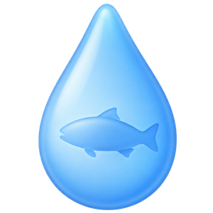 Salmon Oil